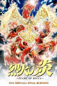 烈火の炎 FINAL BURNING Online In Netflix