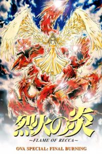 烈火の炎 FINAL BURNING Online In Netflix