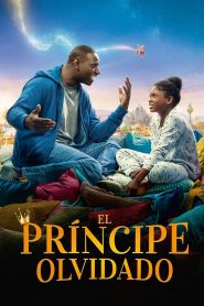El Príncipe Olvidado Online In Netflix
