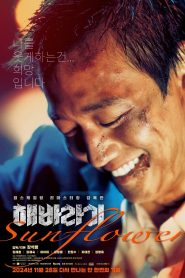 해바라기 Online In Netflix