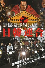 実録・暴走族シリーズ 日韓連合 小さな巨人 野山榮澤 Online In Netflix