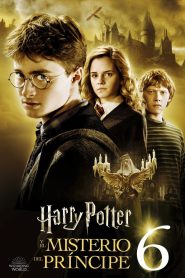 Harry Potter y el misterio del príncipe Online In Netflix