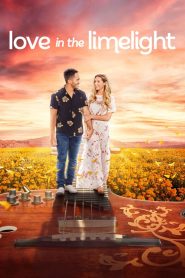 Love in the Limelight Online In Netflix