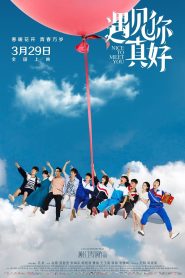 遇见你真好 Online In Netflix
