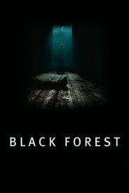 Black Forest Online In Netflix