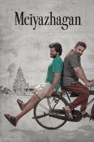 மெய்யழகன் Online In Netflix