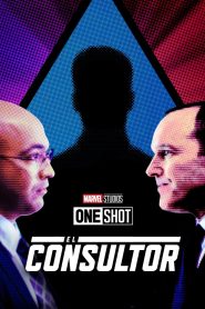 Marvel One-Shot: El Consultor Online In Netflix