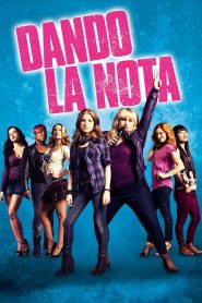Notas perfectas Online In Netflix