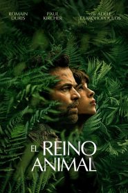 Criaturas Asombrosas Online In Netflix