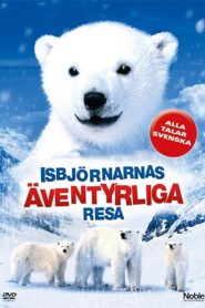 The Great Polar Bear Adventure Online In Netflix