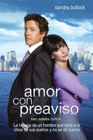 Amor a segunda vista Online In Netflix