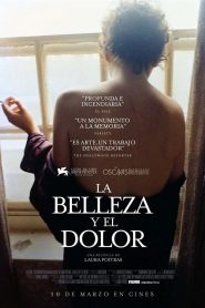 La belleza y el dolor Online In Netflix