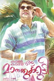 കടൽ കടന്നൊരു മാത്തുകുട്ടി Online In Netflix