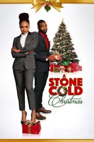 A Stone Cold Christmas Online In Netflix