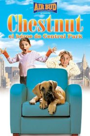 Chestnut: El héroe de Central Park Online In Netflix