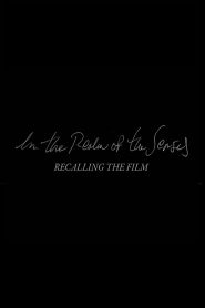 In the Realm of the Senses: Recalling the Film Online In Netflix