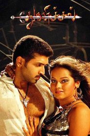 துணிச்சல் Online In Netflix
