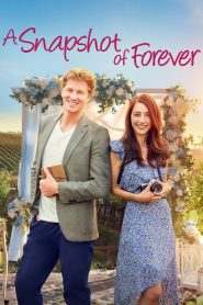 A Snapshot of Forever Online In Netflix