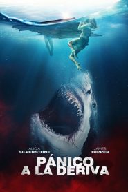 Pánico a la deriva Online In Netflix