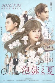 泡沫之夏 Online In Netflix