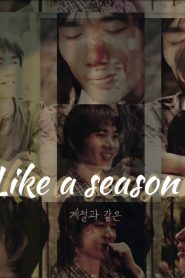 계절과 같은 Online In Netflix