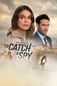 To Catch a Spy Online In Netflix