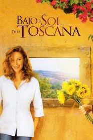 Bajo el sol de Toscana Online In Netflix
