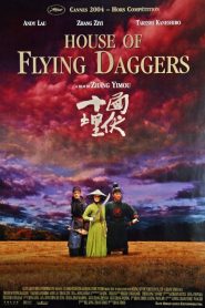 Making of House of Flying Daggers Online In Netflix