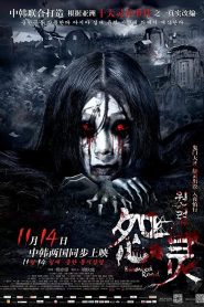 怨灵 Online In Netflix