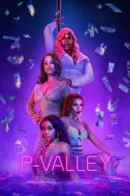 P-Valley 2020 one on netflix