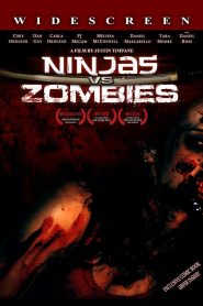 Ninjas vs. Zombies Online In Netflix