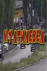 Мултилевел Online In Netflix