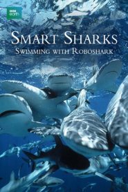 Smart Sharks: Swimming With Roboshark Online In Netflix