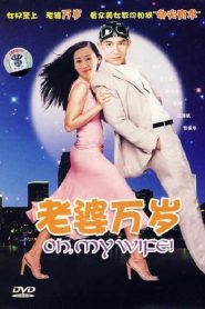 老婆萬歲 Online In Netflix