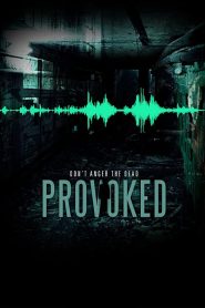 Provoked Online In Netflix