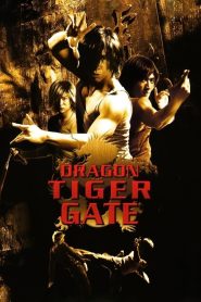 龍虎門 Online In Netflix