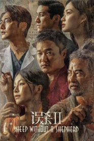 误杀2 Online In Netflix