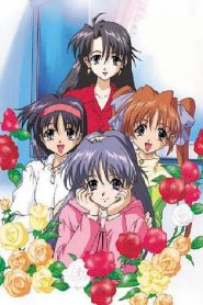 ファーストKiss☆物語 Online In Netflix