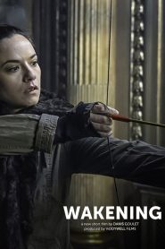 Wakening Online In Netflix