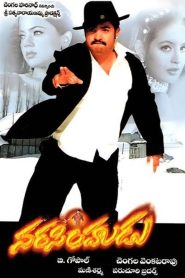 నరసింహుడు Online In Netflix