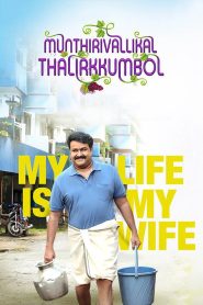 മുന്തിരിവള്ളികള്‍ തളിര്‍ക്കുമ്പോള്‍ Online In Netflix