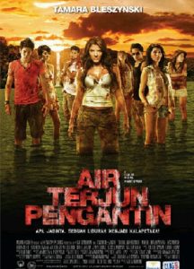 Air Terjun Pengantin Online In Netflix