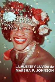 The Death and Life of Marsha P. Johnson Online In Netflix