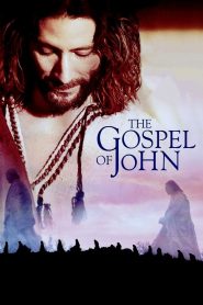 The Gospel of John Online In Netflix