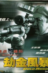 飛虎雄師之劫金風暴 Online In Netflix