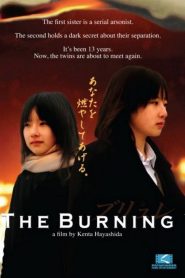ブリュレ Online In Netflix