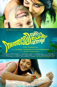 നത്തോലി ഒരു ചെറിയ മീനല്ല Online In Netflix
