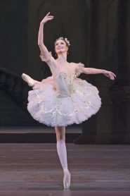 The Sleeping Beauty Online In Netflix