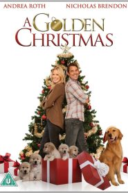 A Golden Christmas Online In Netflix