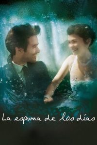 L’Écume des jours Online In Netflix